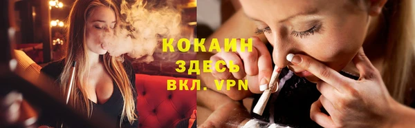 гашик Вязники
