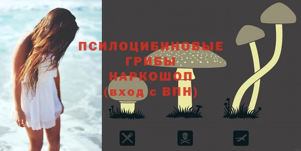 марки nbome Вяземский