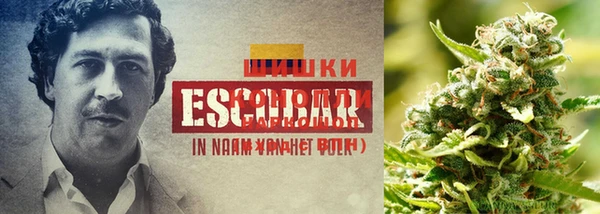 ECSTASY Вязьма