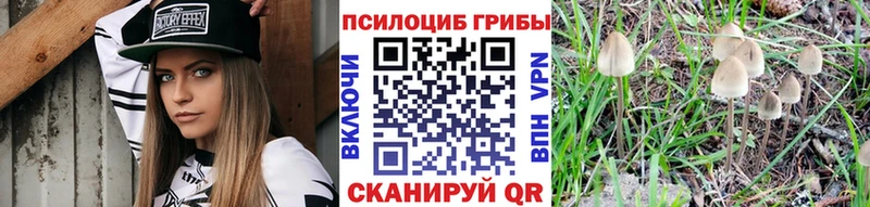 дарк нет клад  Кызыл  Галлюциногенные грибы Psilocybine cubensis 