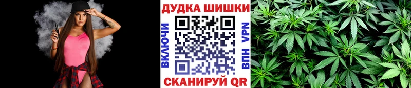 Канабис планчик Кызыл